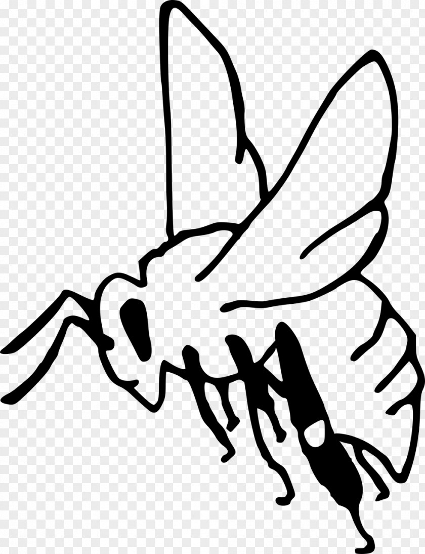 Crayfish Moths And Butterflies Cartoon Bee PNG