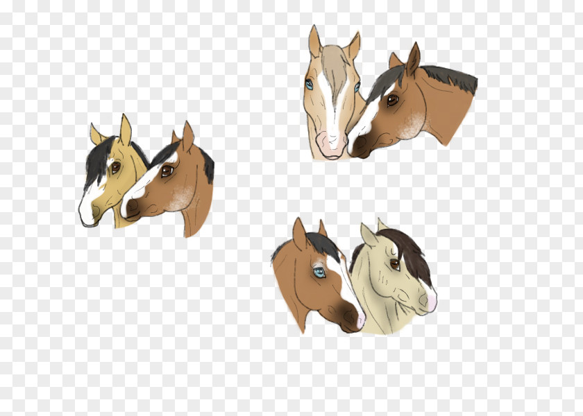 Mustang Halter Rein Bridle Pack Animal PNG