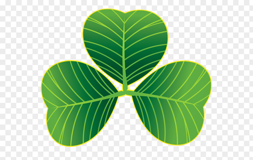 ST PATRICKS DAY Saint Patrick's Day Shamrock Clover Clip Art PNG