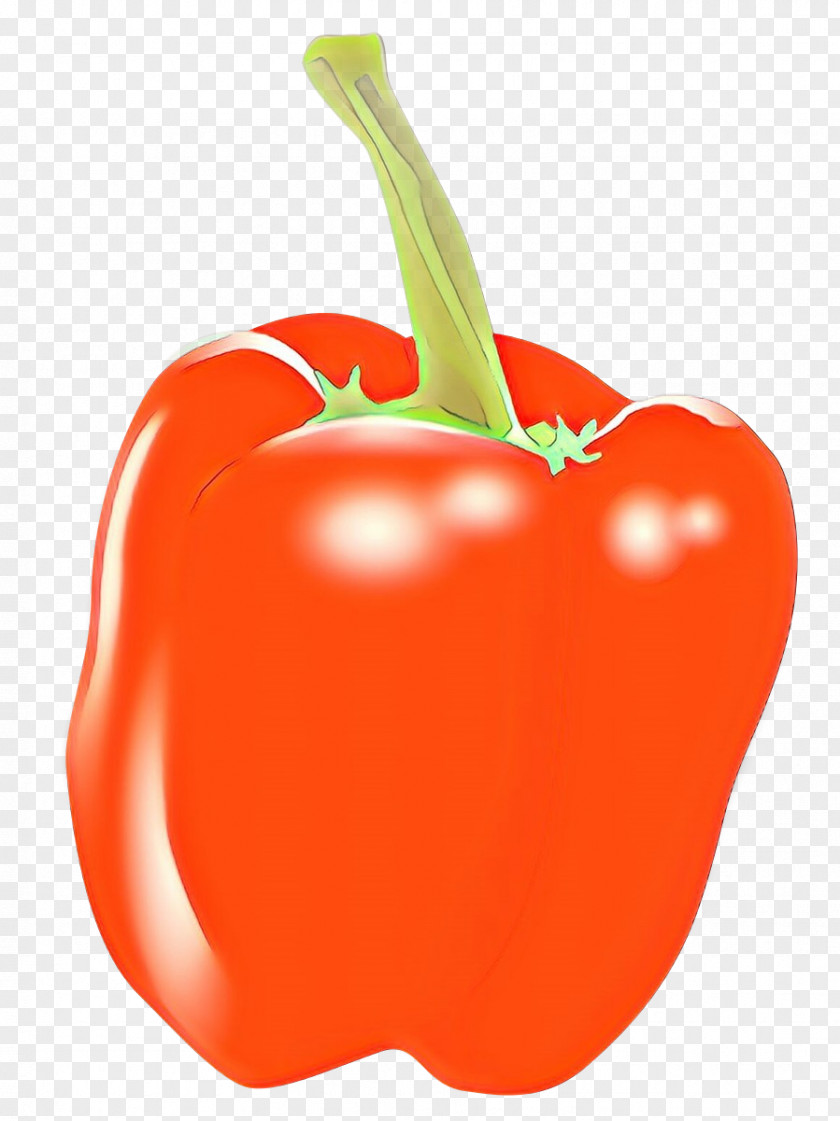 Superfood Ingredient Vegetable Cartoon PNG