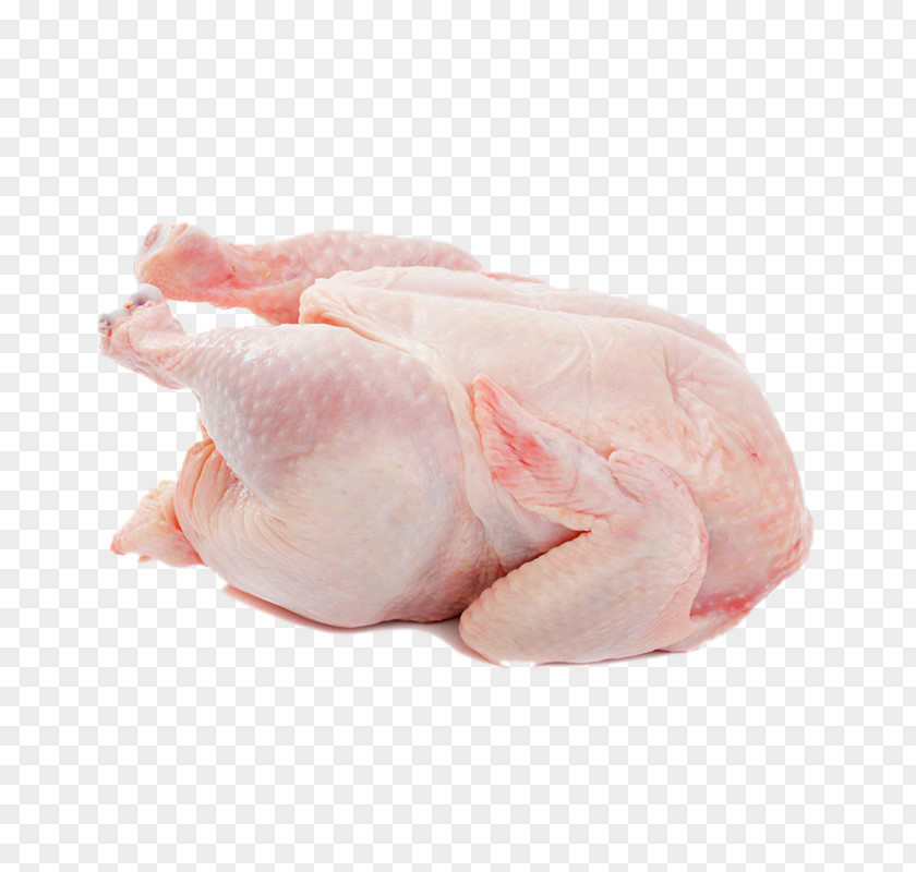 Chicken Meat Buffalo Wing Leg Frozen Food PNG meat wing food, Whole chicken, dressed chicken clipart PNG