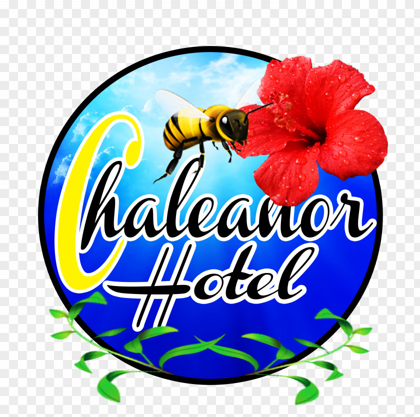 Half Moon Caye Clip Art Food Cut Flowers Logo Rosemallows PNG