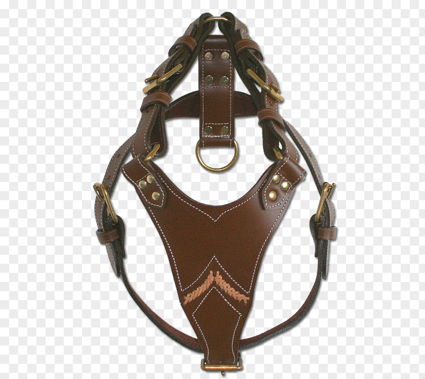 Horse Pit Bull Staffordshire Terrier Cane Corso Dog Harness PNG
