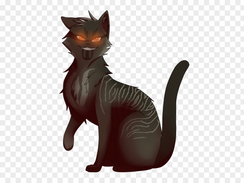 Kitten Whiskers Tabby Cat Black PNG