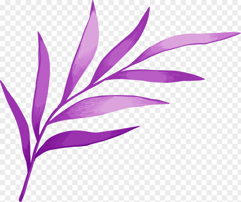 Leaf Plant Stem Petal Root Branch PNG