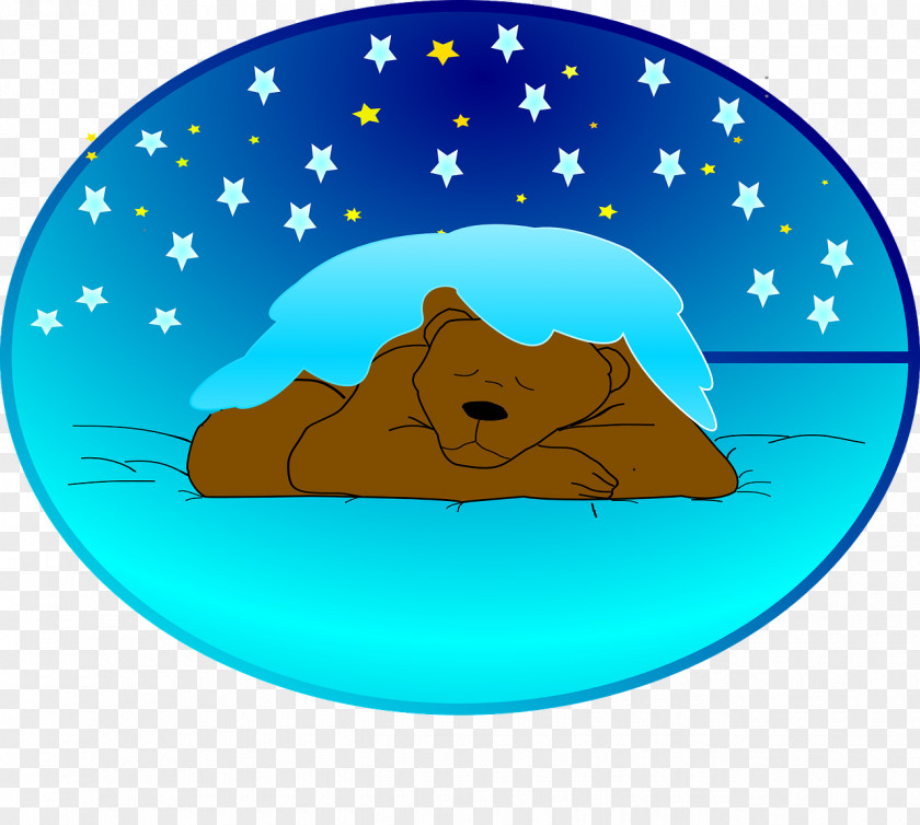 Bears Animal Hibernation Pre-school Child Animals That Hibernate PNG