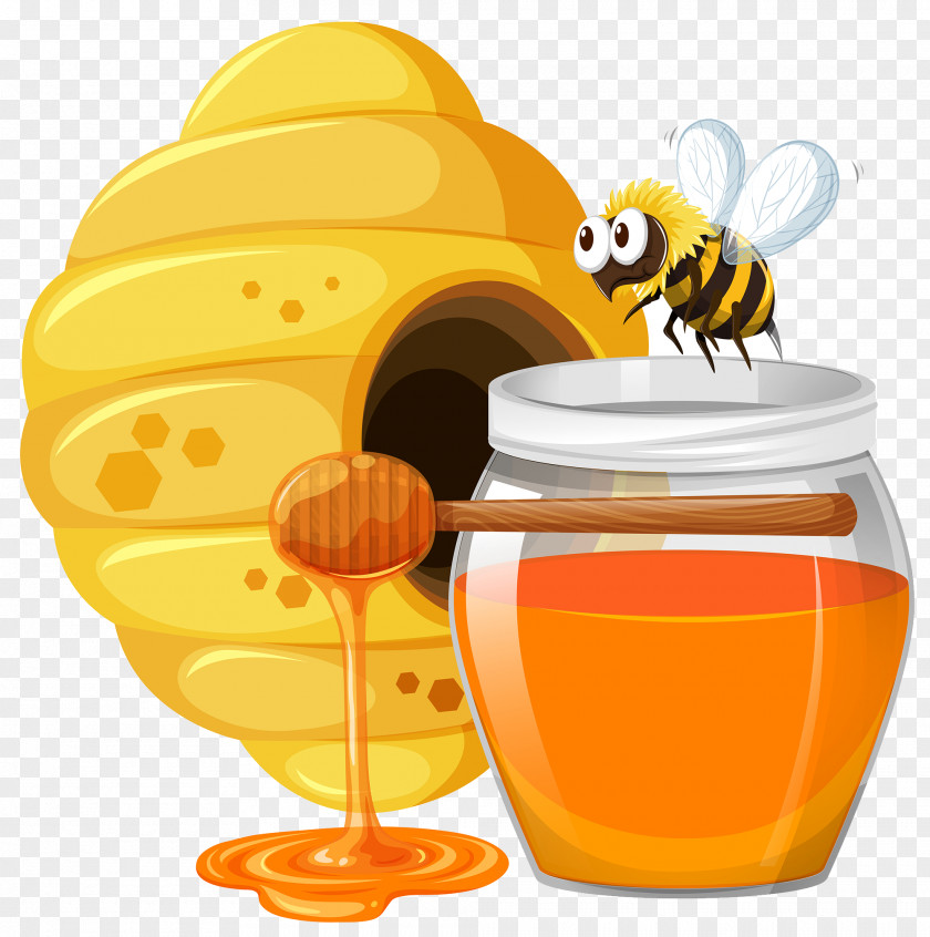 Cartoon Bee With Honey Beehive PNG