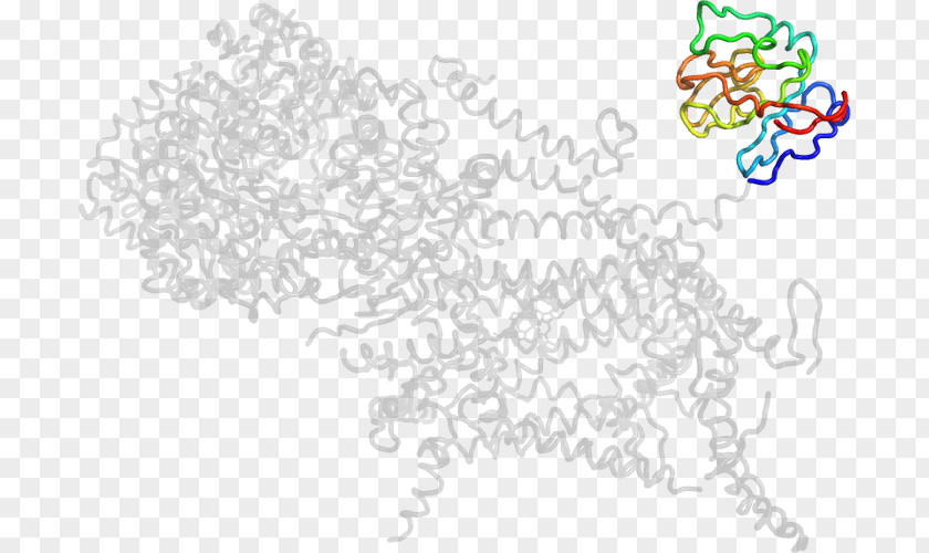 Cytochrome P450 Reductase Line Art Drawing /m/02csf PNG