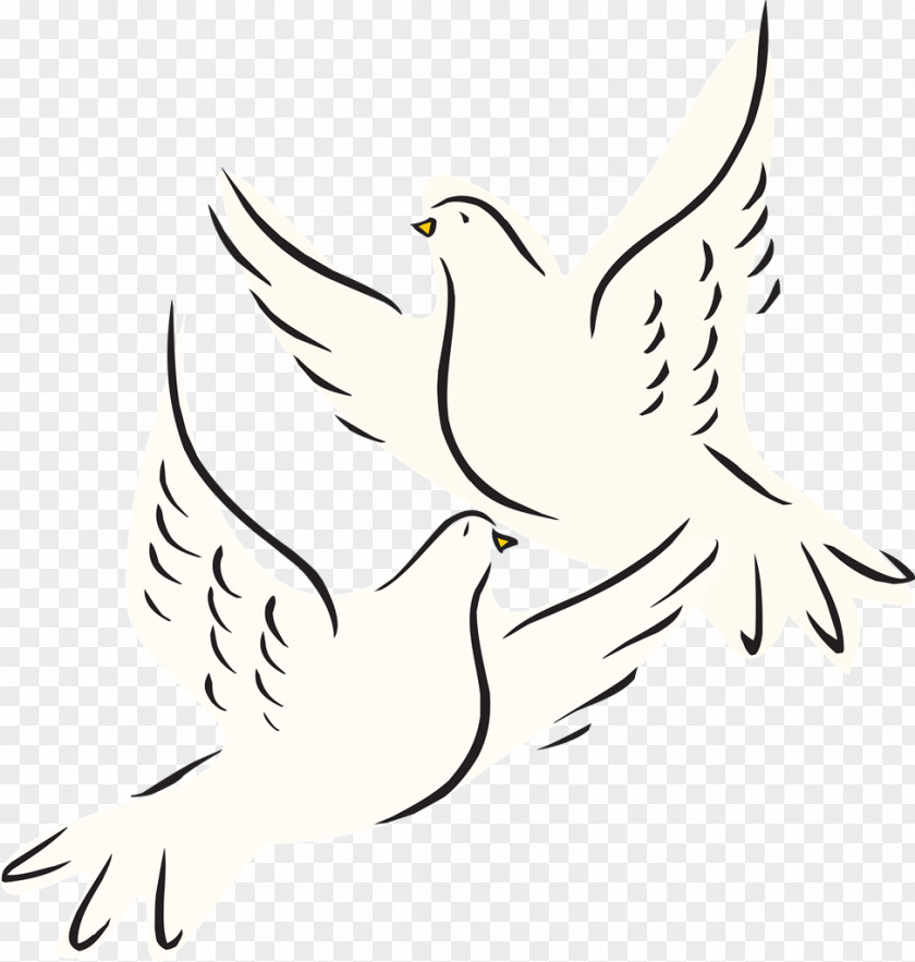 Dove Art Columbidae Clip Openclipart Image Drawing PNG