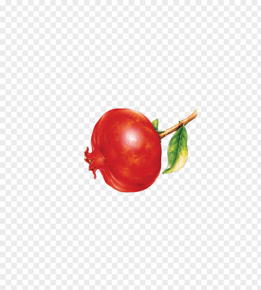 Pomegranate Tomato Cherry Red Fruit PNG