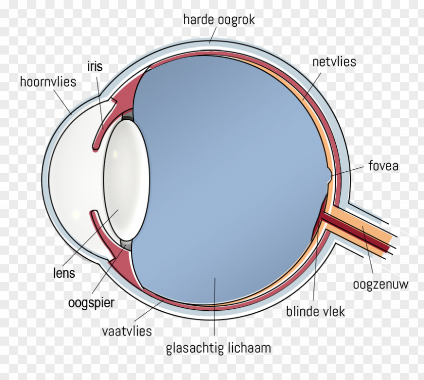 Circle Angle Diagram PNG