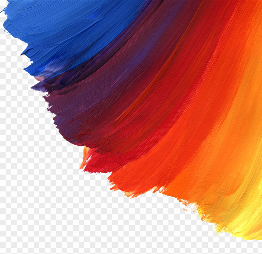 Color Paint Brushes Watercolor Painting Brush Oil PNG