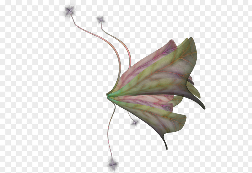 Compression Naver Blog Petal Data Plant Stem PNG