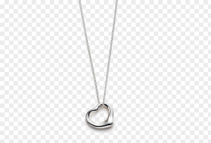 Necklace Locket Jewellery PNG