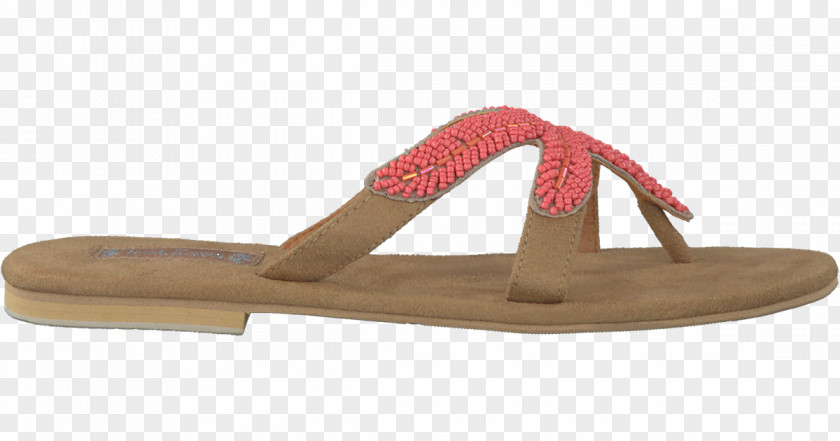 Toms Shoes For Women Shoe Flip-flops Hot Lava Sandal Slide PNG