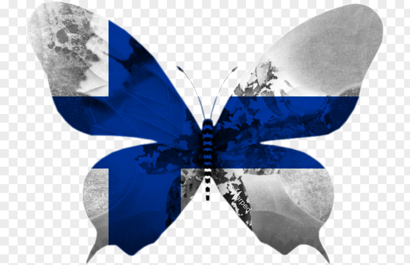 Butterfly Eurovision Song Contest 2013 Flag Of Costa Rica PNG