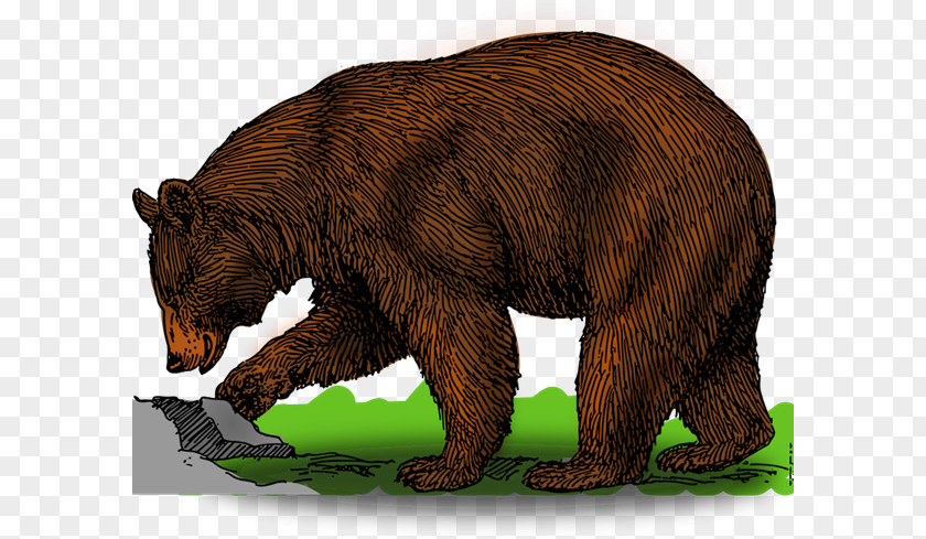 Grizzly Cliparts Brown Bear American Black Polar Clip Art PNG