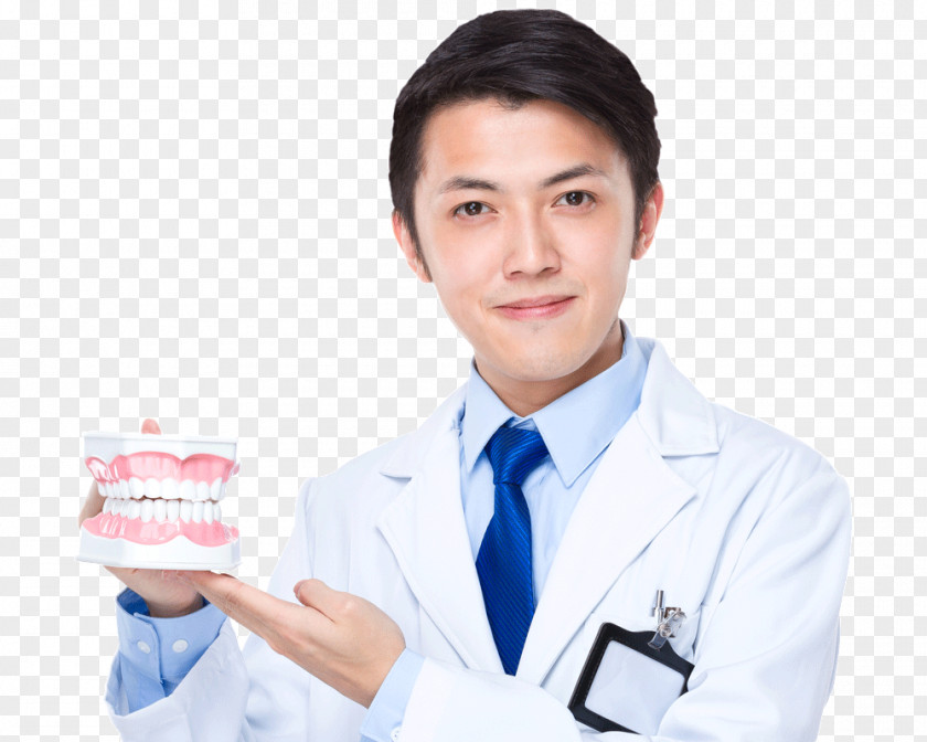 Medicine Stock Photography Physician Dentistry PNG