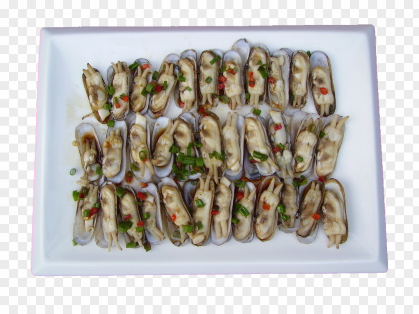 Razor Seafood Clam Solenidae Oyster PNG