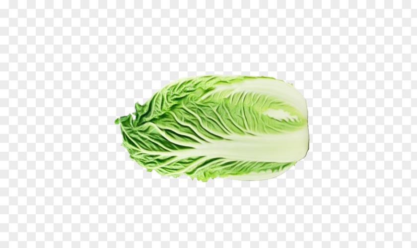 Wild Cabbage Food Green Vegetable Leaf PNG