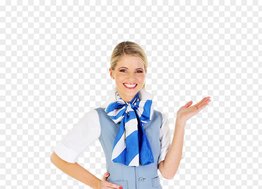 Airplane Flight Attendant Airline Passenger PNG