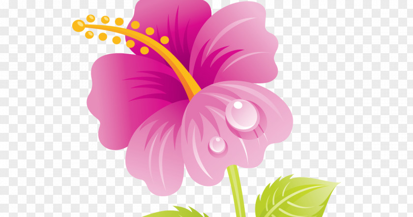 Mother's Day Flower Bouquet Granny Clip Art PNG