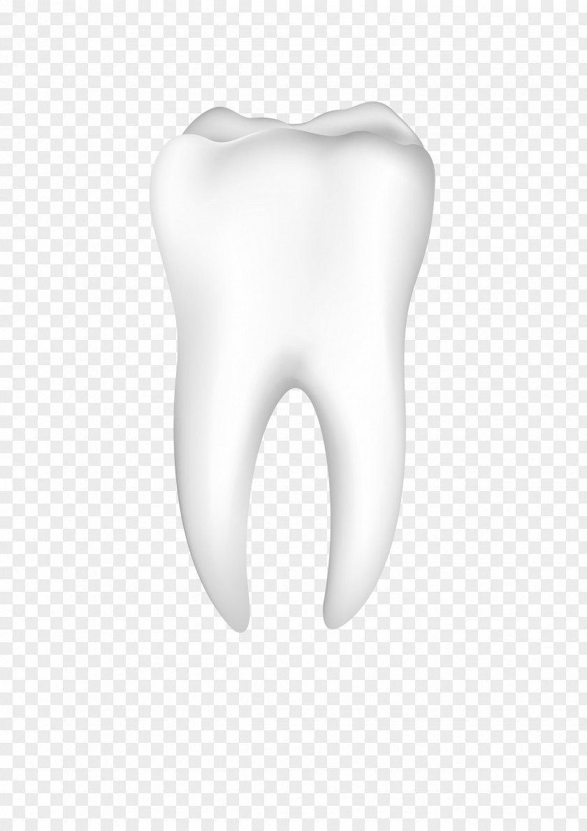 Tooth Nose Jaw Mouth Ear PNG