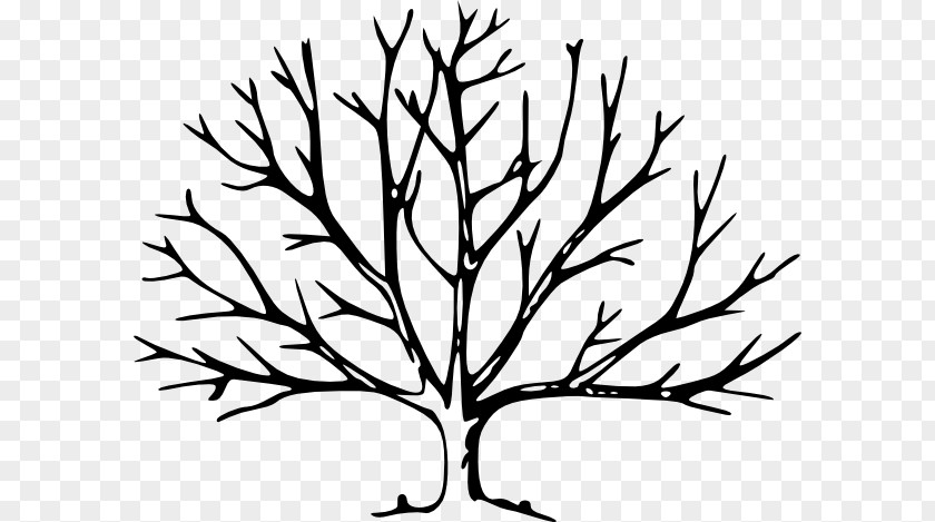 Tree Trunk Images Drawing Silhouette Clip Art PNG