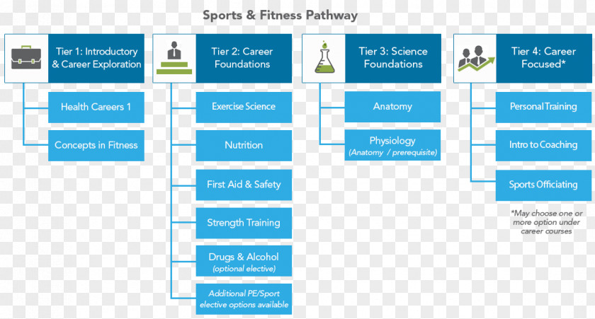 Career Pathways Physical Fitness Job Education Exercise PNG