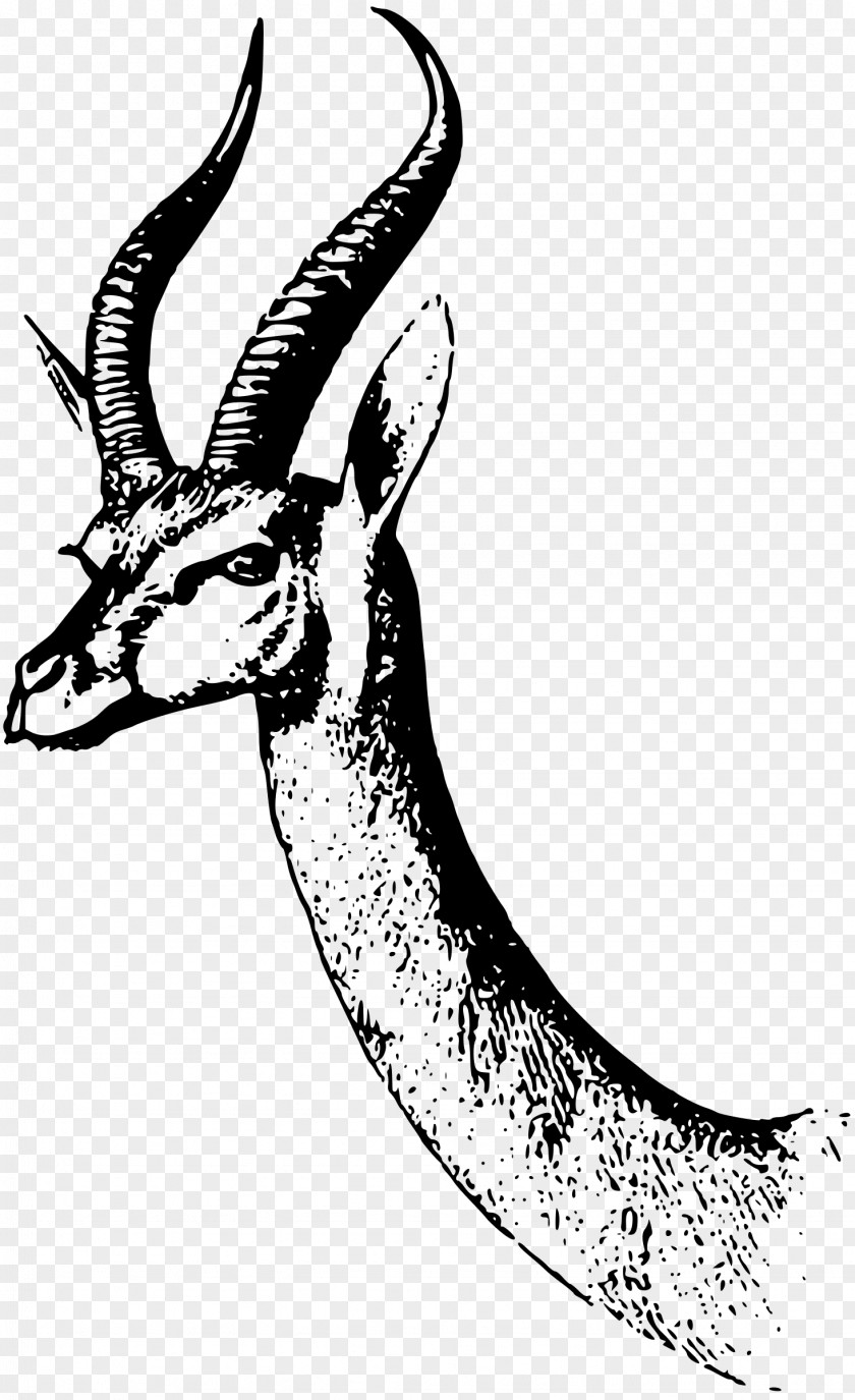 Gazelle Antelope Drawing Clip Art PNG