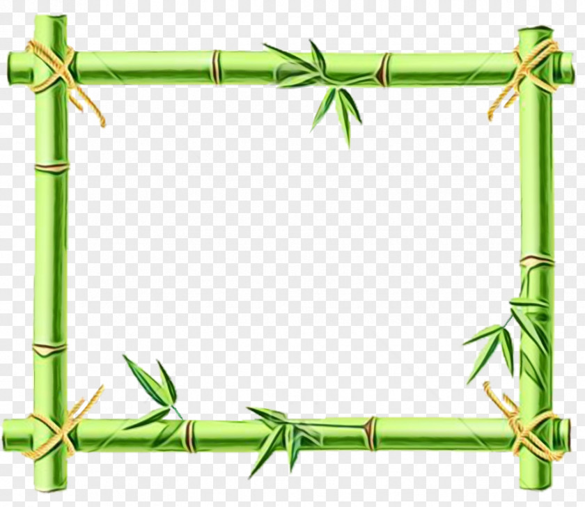 Plant Bamboo Picture Frame PNG