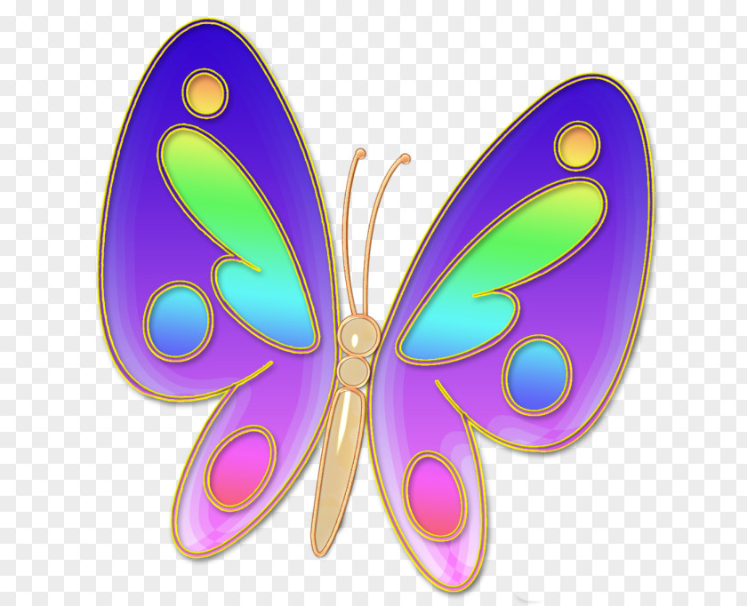 Butterfly Brush-footed Butterflies Clip Art Symmetry PNG