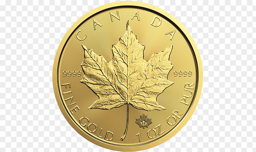 Canada Canadian Gold Maple Leaf Coin Bullion PNG