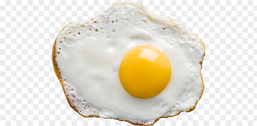 Fried Egg PNG egg clipart PNG