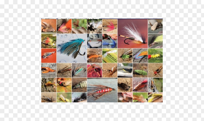 Jigsaw Puzzles Fly Fishing Outset Media Ravensburger PNG