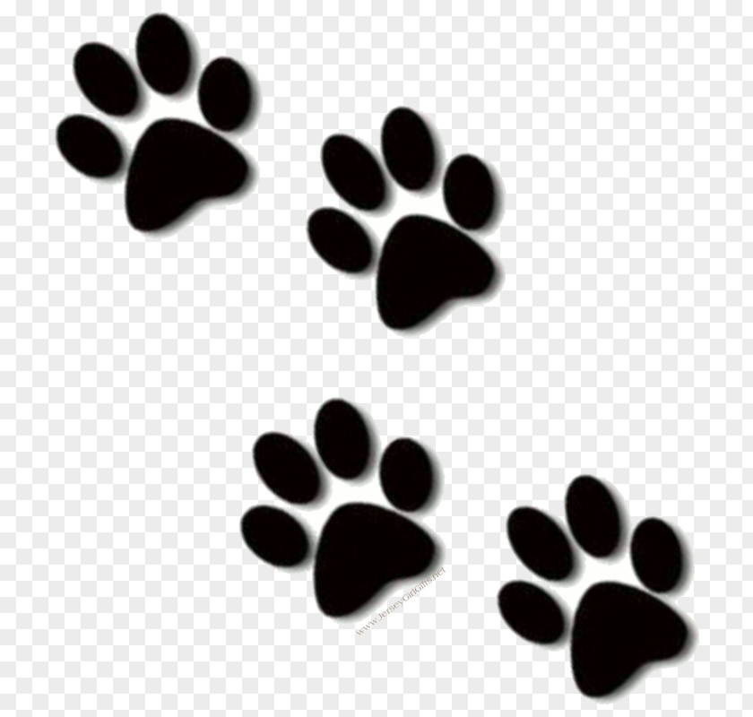 Lion Clip Art Paw Cat Dog PNG