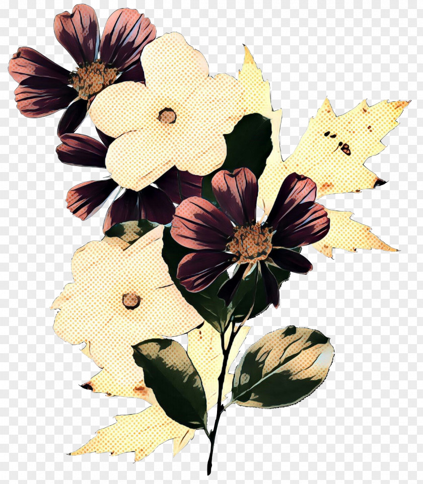 Magnolia Family Wildflower Wedding Flower Background PNG