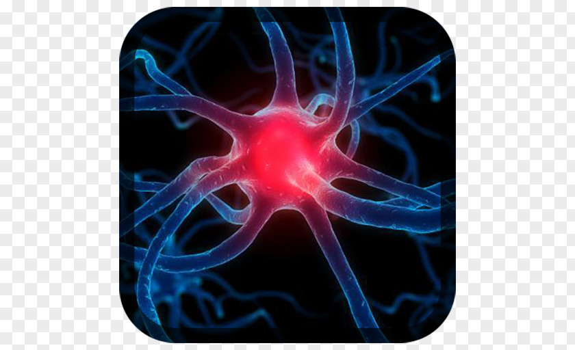 Nerves Nervous System Nerve Neurology Neuron Parkinson's Disease PNG