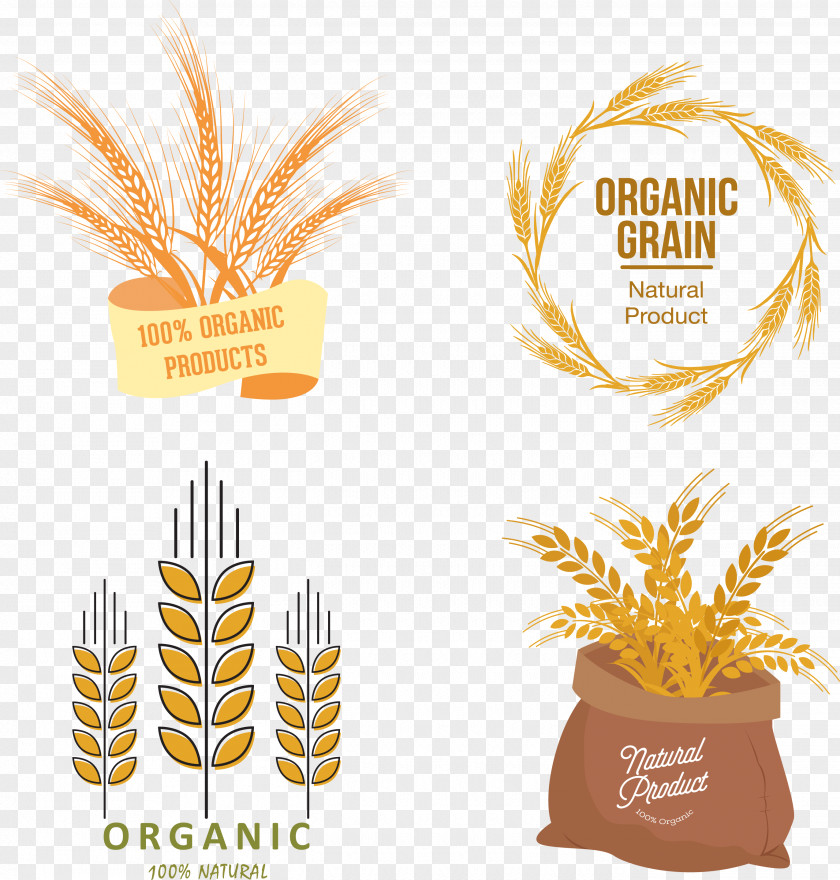 Reap Wheat Organic Food Euclidean Vector PNG