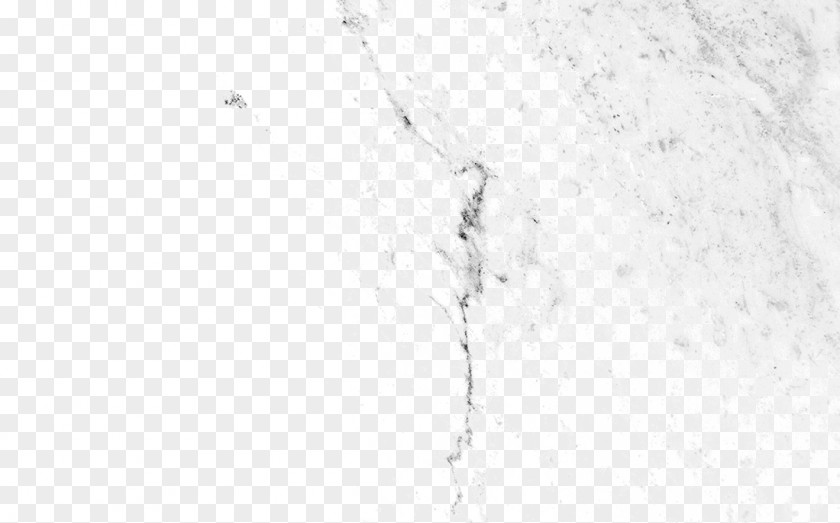 Rock Texture White Black Pattern PNG