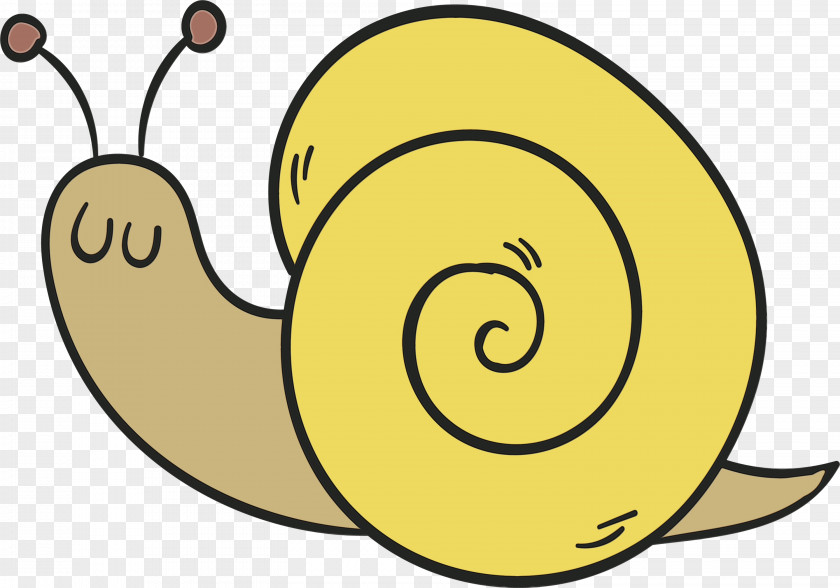 Sea Snail Snails And Slugs Cartoon PNG