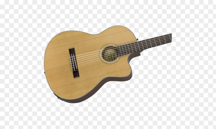 Acoustic Guitar Fender Telecaster Thinline Classical Musical Instruments Corporation PNG