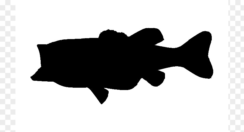 Bass Jumping Cliparts Largemouth Silhouette Fishing Clip Art PNG