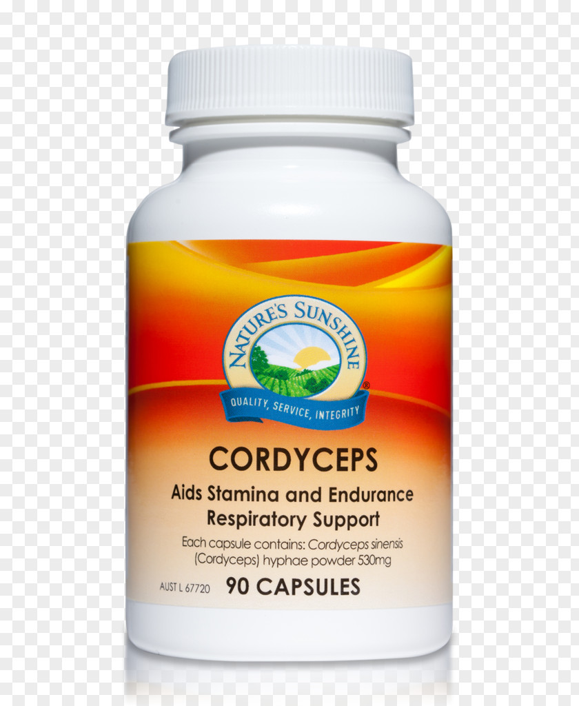 Cordyceps Nature's Sunshine Products Capsule Dietary Supplement Herb Natures Health PNG