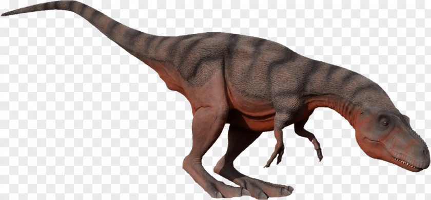 Dinosaur Tyrannosaurus Albertosaurus Moab Giants PNG