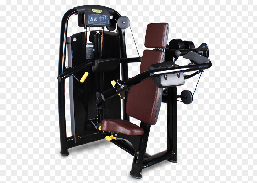 Gym Equipments Exercise Equipment Fitness Centre Machine Deltoid Muscle PNG