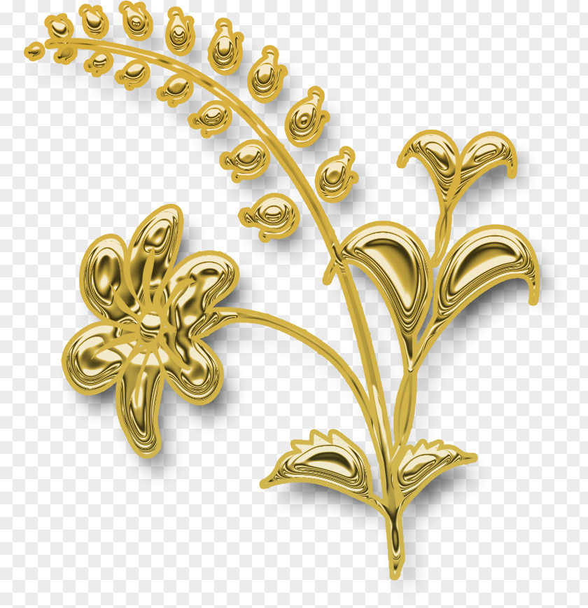 Jewellery Gold Fundal Body Piercing PNG