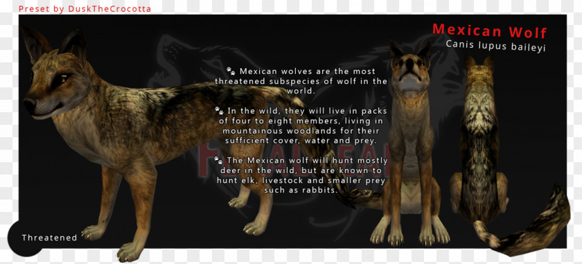 Mexican Gray Wolf Drawings Dog DeviantArt Artist Skin PNG