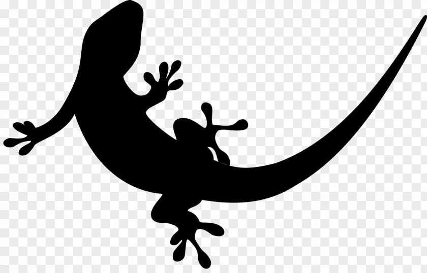 Reptile Clip Art Amphibians Line Silhouette PNG