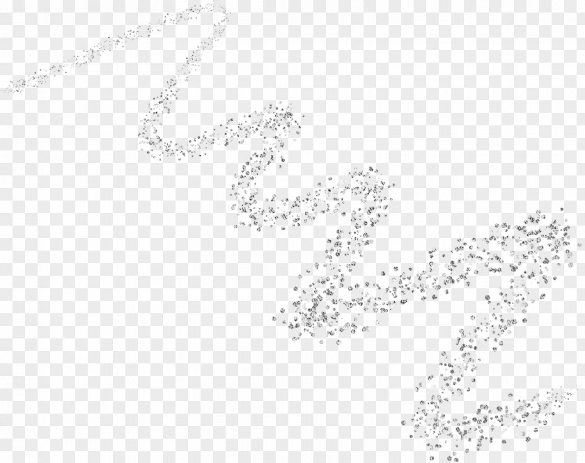 Silver Sequins Line Black And White Point Angle PNG